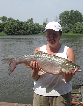 Отчет о посещении базы Московская в Дельте Волги